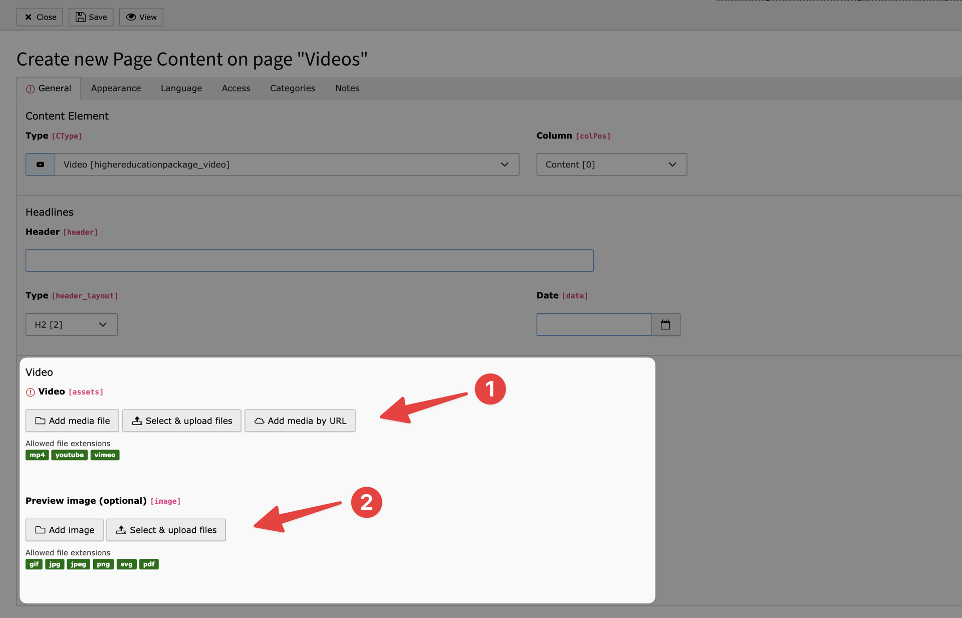 Video element fields