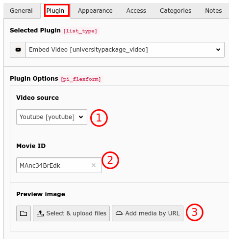 Video plugin settings