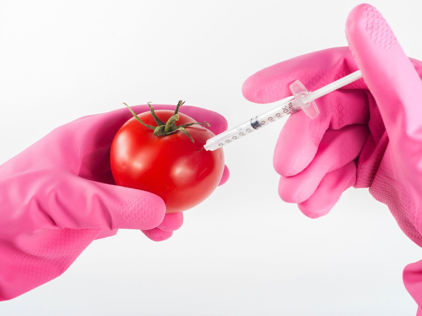 Hands with pink gloves injecting a tomato